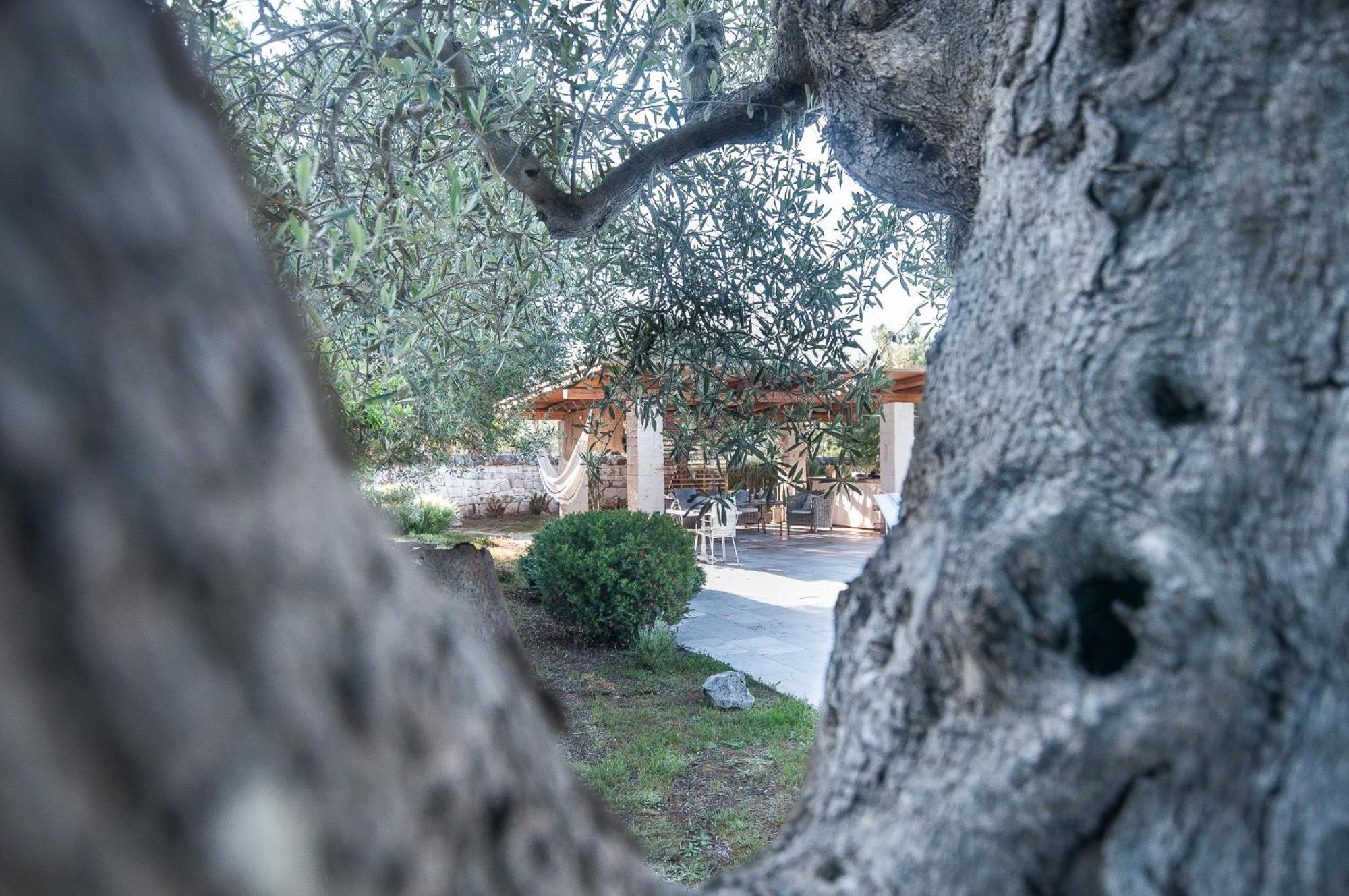 Willa Il Trullo Di Ben Locorotondo Zewnętrze zdjęcie